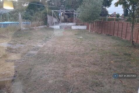 Back Garden
