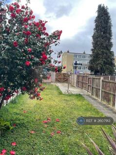Back Garden