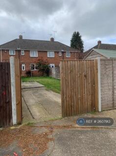 Back Garden 