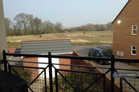 Countryside Views 