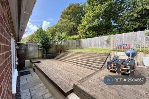 Back Garden