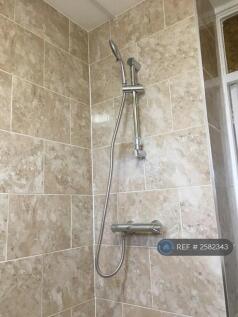 Shower Room Pic 2