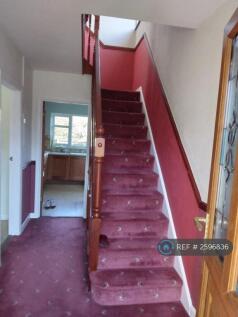 Hallway And Stairs