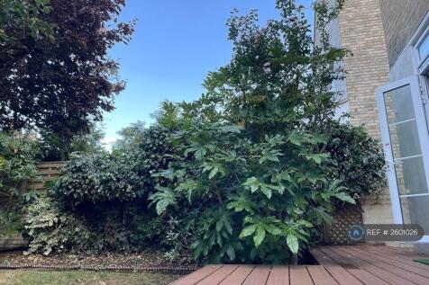 Direct Access To Deck From Kitchen