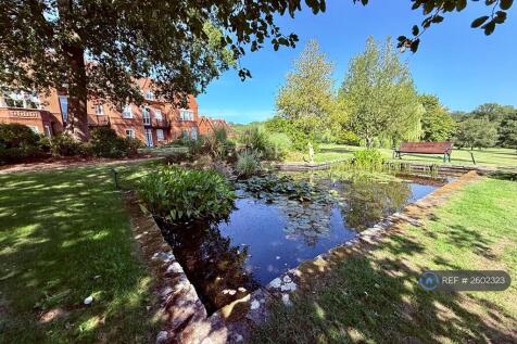 Pond