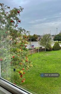 Pretty Communal Area, Parking Space And Bus Stop