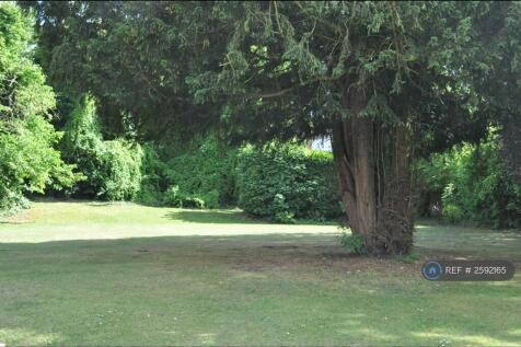 Communal Garden