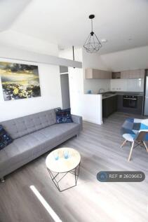 Living / Kitchen Area