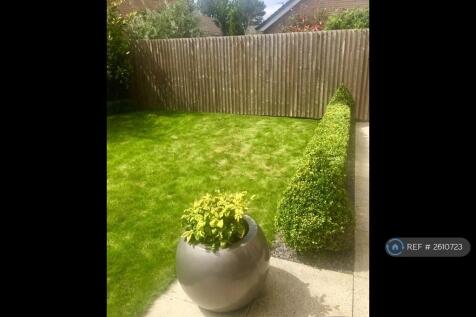 Back Garden