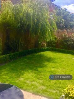 Back Garden