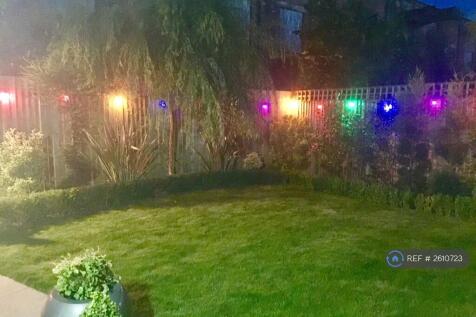 Back Garden Night