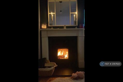 Lit Wood Stove