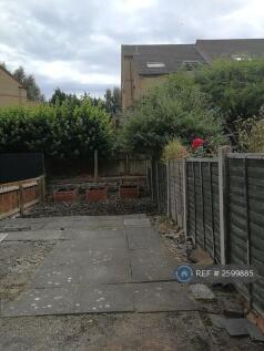 Back Garden 