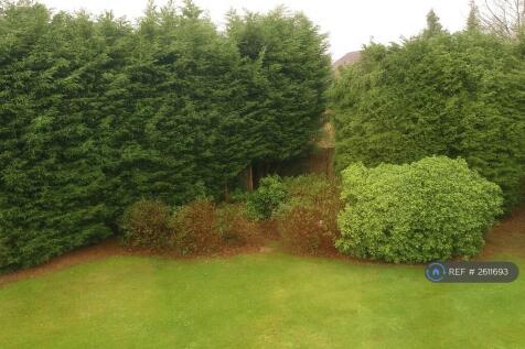 Shared Garden