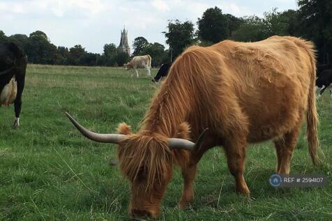 Minchinhampton Common