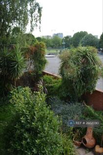 Large Wrap Around Garden