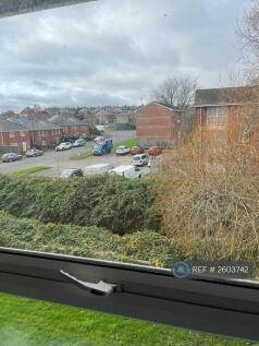 View From Living Room