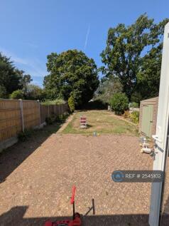 Back Garden