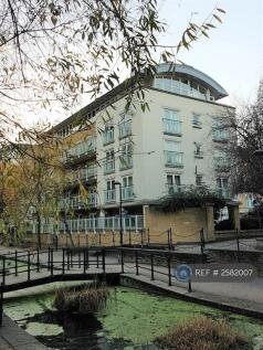 Sycamore House