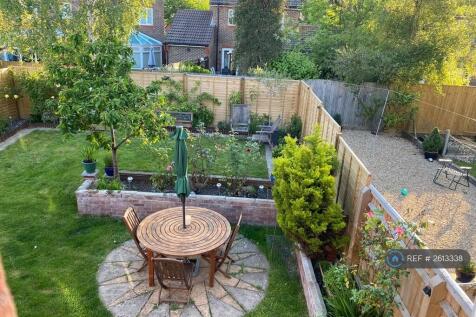 Garden During Summer