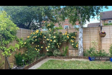 Garden During Summer2