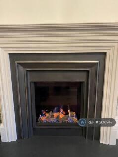 Awesome Roaring Fire