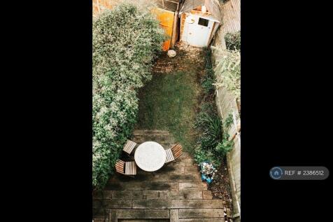 Back Garden