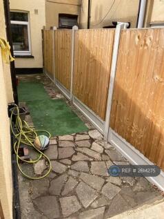 Back Garden