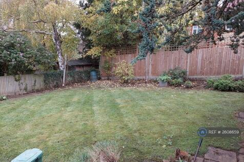 Back Garden