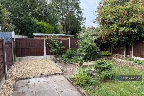 Back Garden