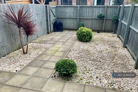 Back Garden