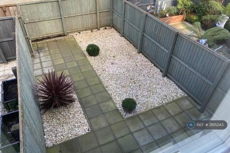 Back Garden