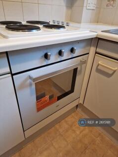 New Oven