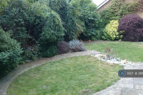 Garden Pic 1