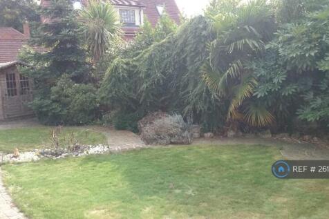Garden Pic 2