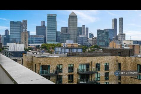 Rooftop View