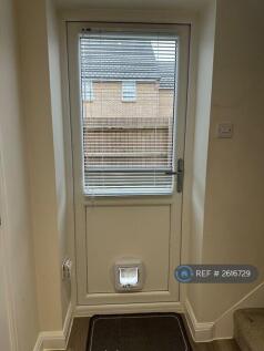 Back Door