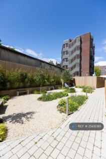 Communal Garden
