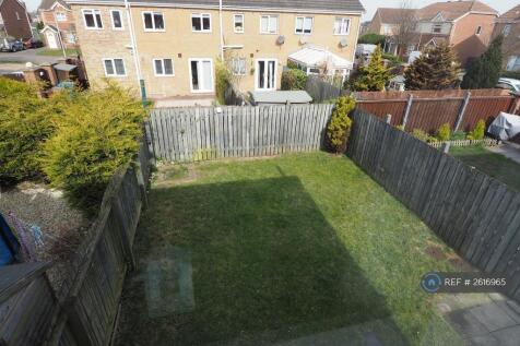 Back Garden