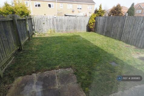 Back Garden