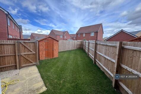 Back Garden