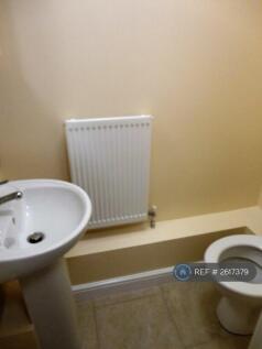 Toilet Downstairs 
