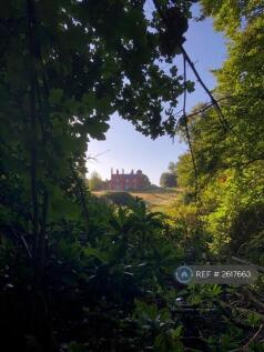 From The Ponds