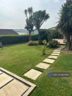 Back Garden