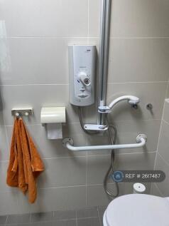 Wet Room Accessible Shower