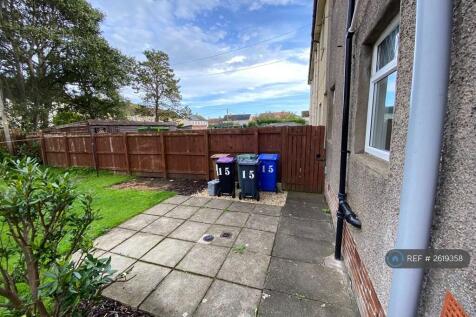 Back Garden 