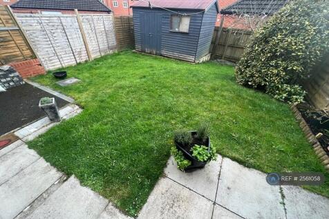 Back Garden