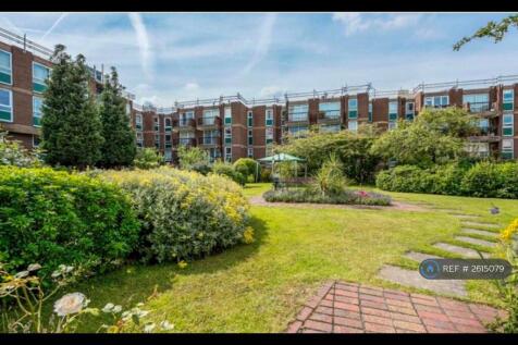 Courtyard Garden 