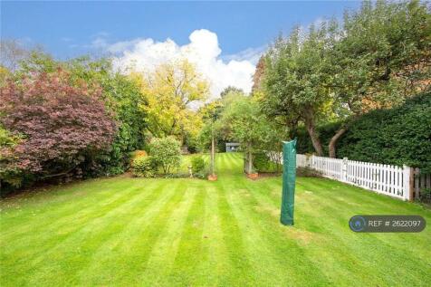 Backgarden2