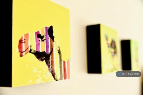 Decortive Feature In Livingroom